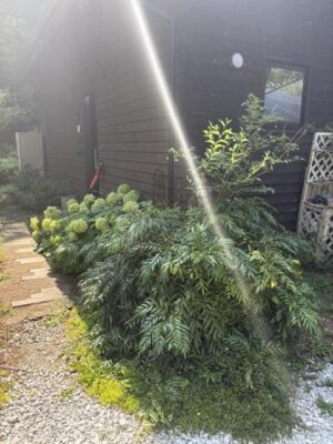 image7_4.jpeg