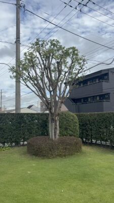 image0_2.jpeg
