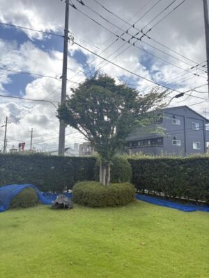 image1_2.jpeg