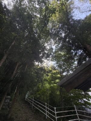 image1_3.jpeg