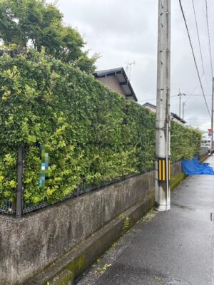 image3_2.jpeg