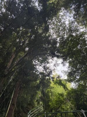 image3_3.jpeg