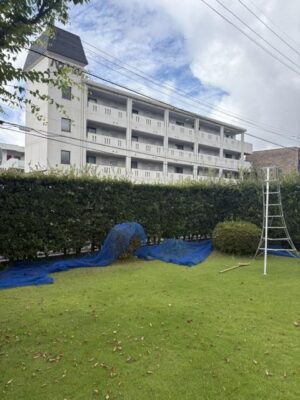 image6.jpeg