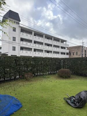 image7.jpeg