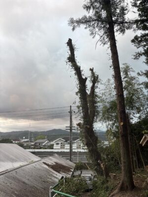 image0_2.jpeg