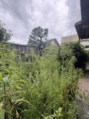 image1_4.jpeg
