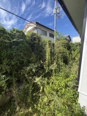 image5_2.jpeg