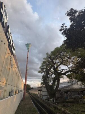image0_14.jpeg