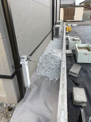 image1_12.jpeg
