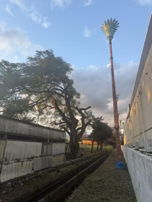 image2_13.jpeg