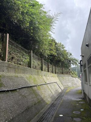 image3_10.jpeg