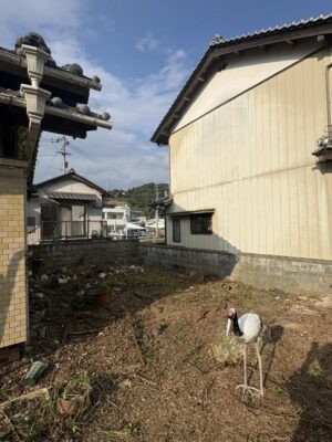 image6_2.jpeg
