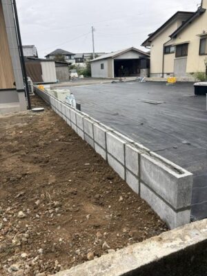 image6_3.jpeg